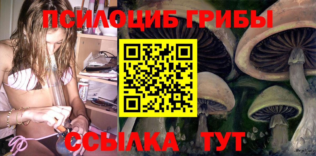A-PVP Бузулук