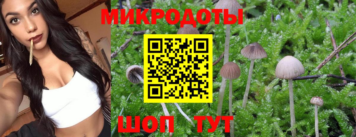 Бузулук  Галлюциногенные грибы мицелий  Вход с VPN 
