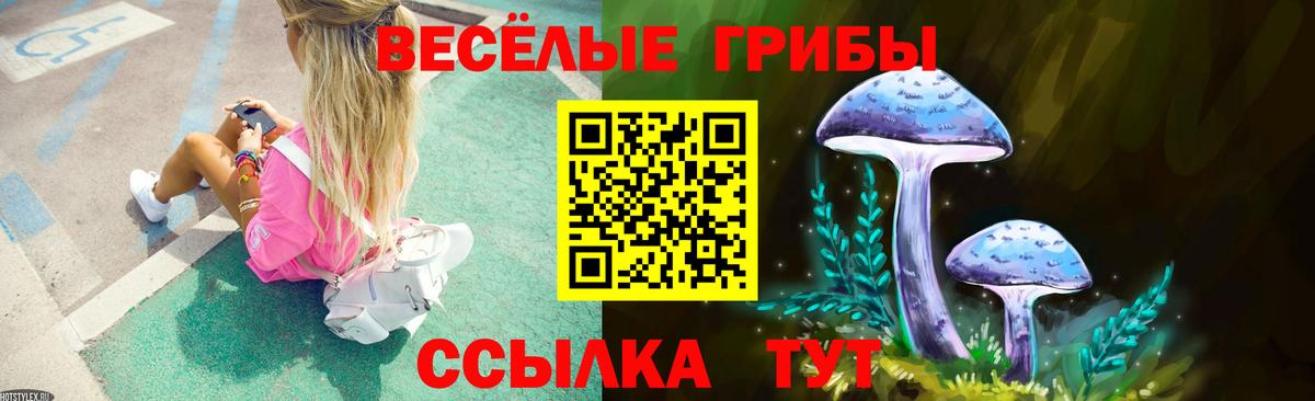 Псилоцибиновые грибы Cubensis Бузулук